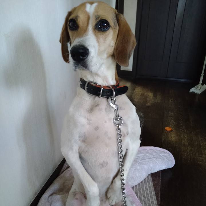 F4f9f602 c3d6 429b ad1c 697a46716d96 1630221892318