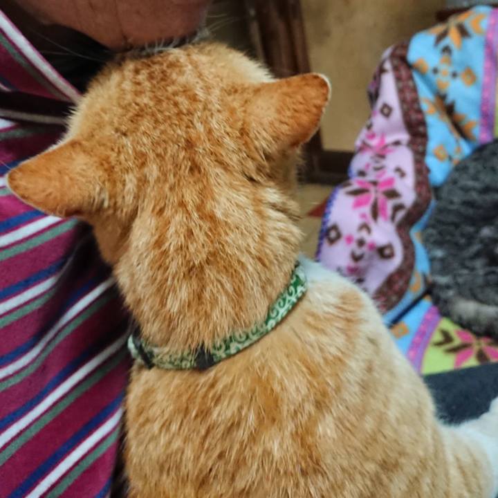 F4fa7f17 623e 44e8 aa9c 70cf79794071 1585309512659