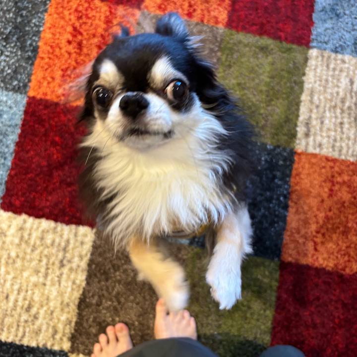 F4fa889f a51a 483e 803f 450d431802e7 1746376990121