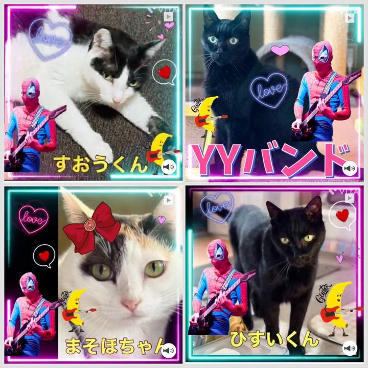 F4fac86f d359 4e1e 8abb 2060b985be28 1699667223783