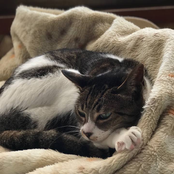 F4fafd27 d900 4696 ae63 402eaa3a3ba8 1526607210123