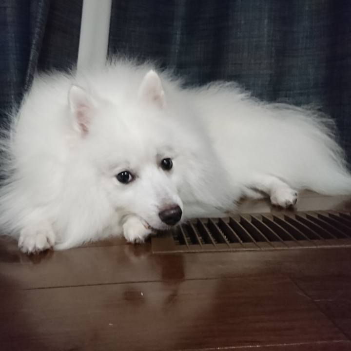 F4fb1714 13de 4b9a a610 6766e9153853 1568192867378