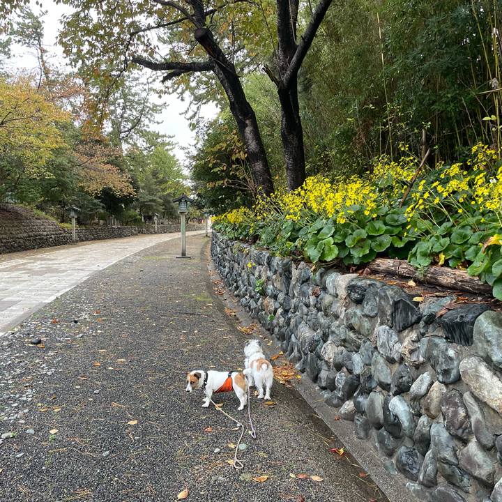 F4fb3bcf 1d50 47bb 8f5d d6b3d0df09e8 1700261391079