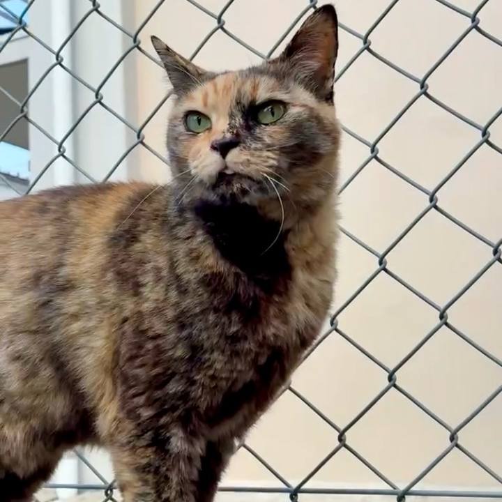 F4fba556 3281 4c4c 9e77 7be545a92697 1775390173403