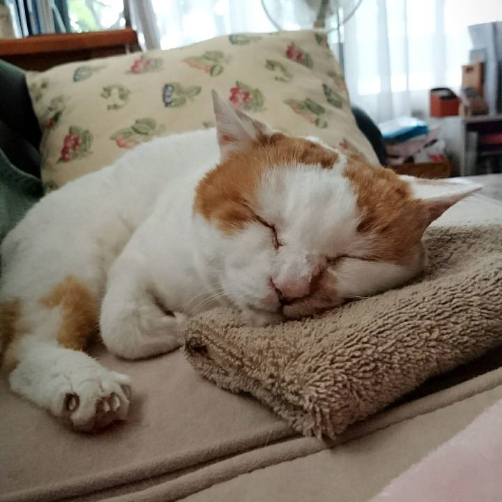 F4fbb019 6409 49d9 8099 d8debdb85bf6 1534672985795