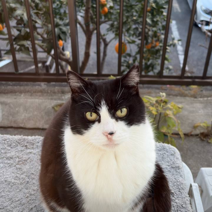 F4fbbb84 ea90 4b8a 9e18 59a91c3c2ff9 1767253771066