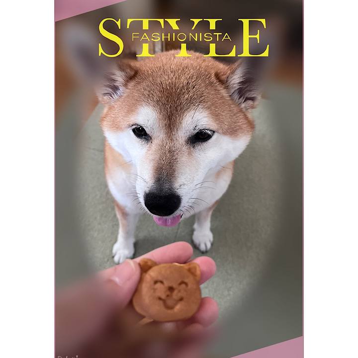 F4fbde06 54e8 438e bbe9 f3dc8d9d45e3 1691108565012