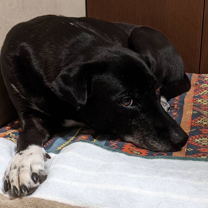 F4fbe951 b64e 414e b541 d271a4fe4eaa 1700997191933