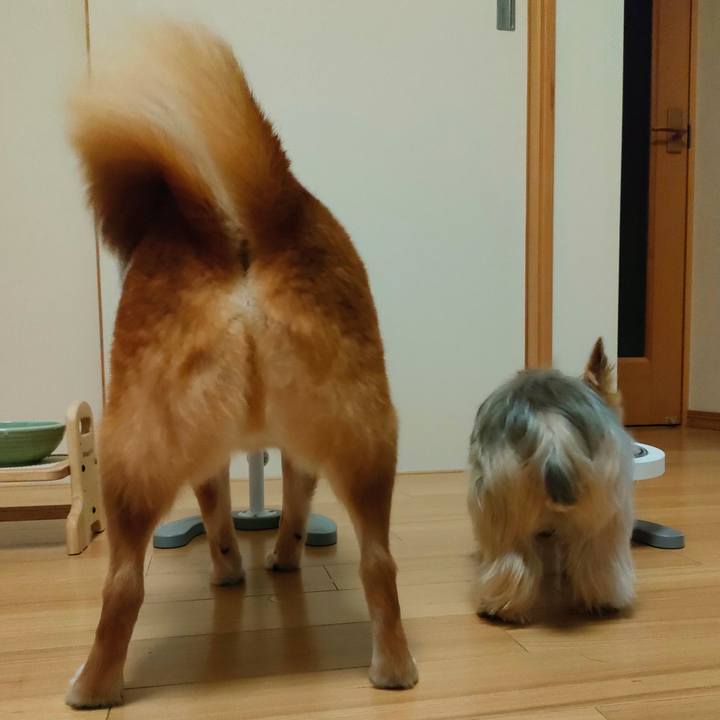 F4fbf257 3700 4fff 8c7f a29c060fbcb6 1656812660432