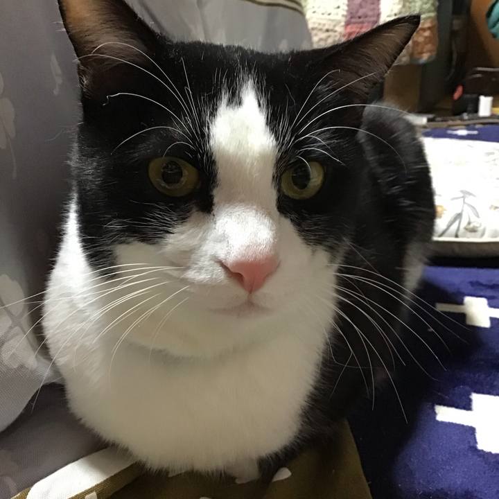 F4fc1bd3 6296 4b0b b986 ac9b6dd94e7a 1708941802835