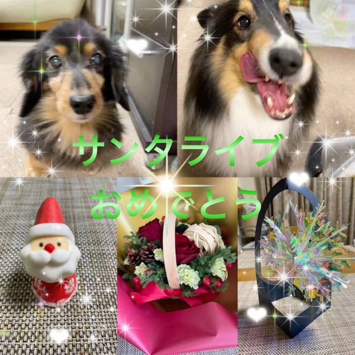 F4fc774f b213 4571 83c1 150402a56535 1671904611610