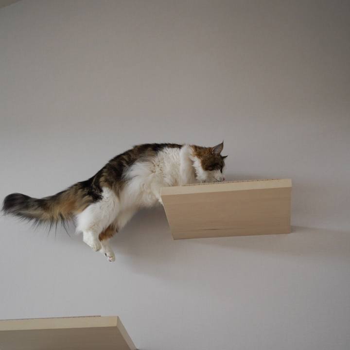 F4fc8732 789a 4636 b2ab 5cd72fcf56f7 1608342345771