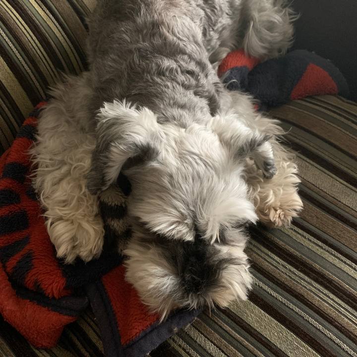 F4fcb78b 3636 41c5 b2d0 15b8cdc1b0b4 1631495236776