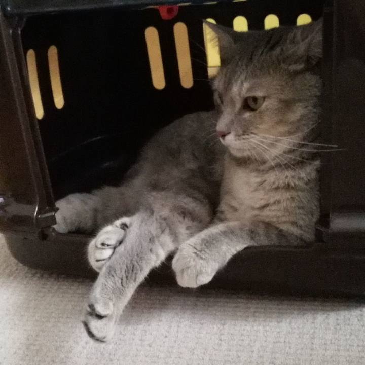 F4fccee7 1aa9 4b73 8fe2 c3074ce851b3 1536801626926