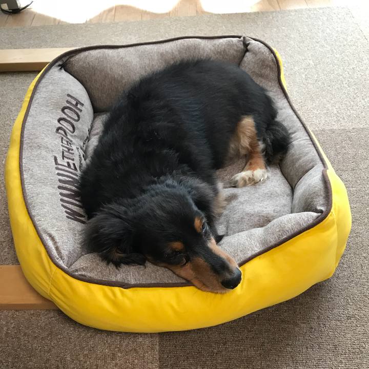 F4fd0d12 3c57 4d3c 8a55 5a38c3d9cf21 1537739760950