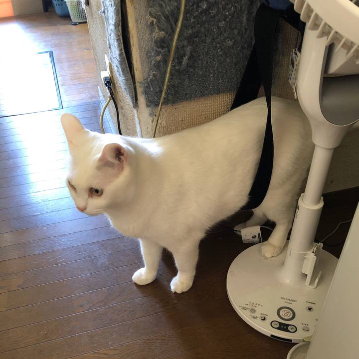 F4fd5d90 8423 468f 9648 50c4127965b0 1679293102407