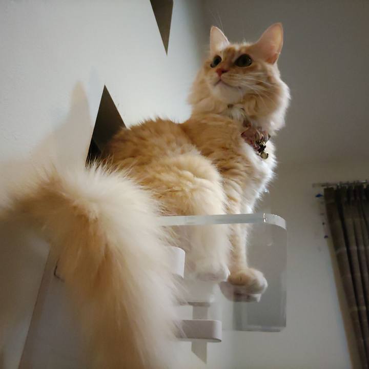 F4fdce33 7ce5 46f4 9dac 69901b7fb528 1698502962414