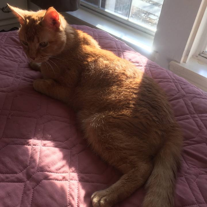 F4fddbd5 772c 4233 ad5e 875ae72fd833 1645502291620