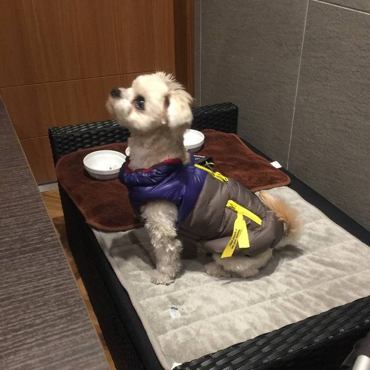 F4fde8f2 8506 48f0 99ca d678e6feba70 1515320224248