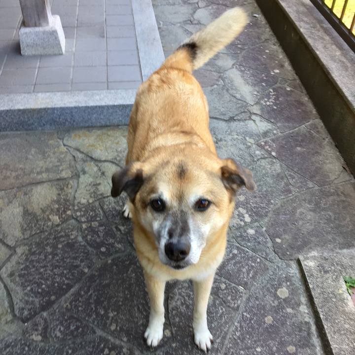 F4fdef4c 62f0 4c8b a023 bb96c1651735 1597575617437