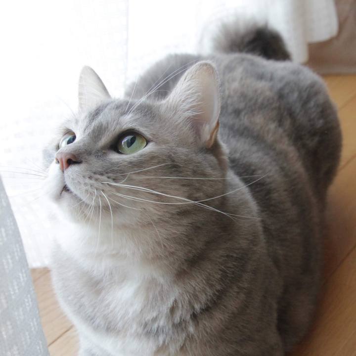 F4fe007e bad7 4a66 b941 dcd027178838 1572065066959