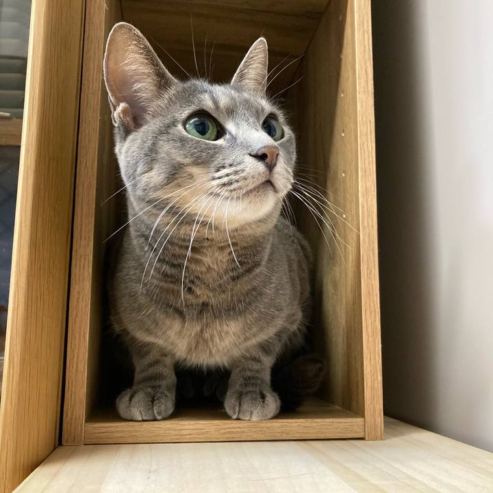 F4fe3faf d295 45e4 9340 4098ea373429 1670627524820