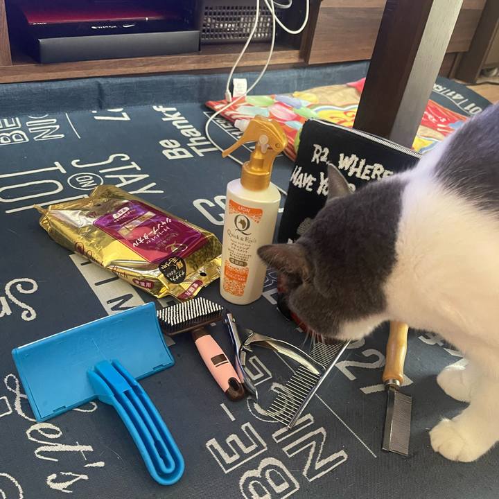 F4fe8a46 bce5 4269 b1d0 e5efad1efab5 1694915583151