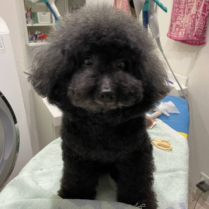 F4fe90f1 ecec 4152 a832 53cc95e46769 1684711734246