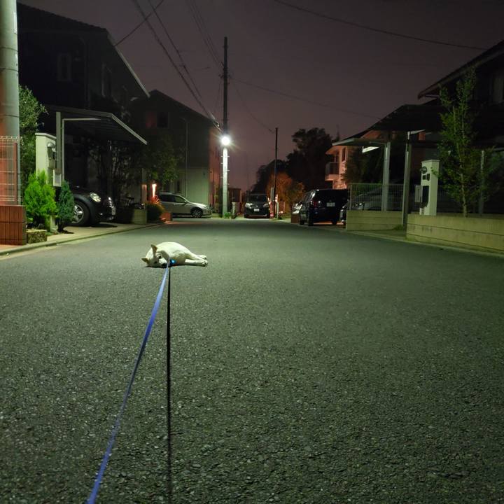 F4feaddc caf7 43a0 9b27 1206bdc3385d 1555592739154