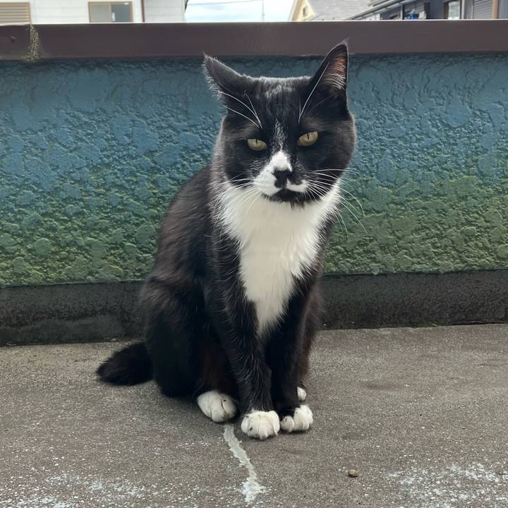 F4febd60 6f7e 4eba bb0a 267a7a93dd00 1753346647467