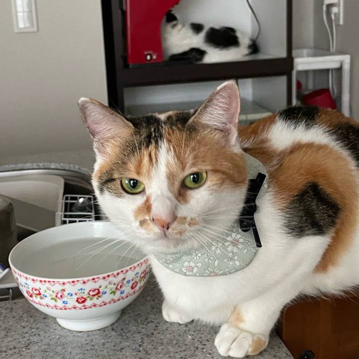 F4fec39b 2e1a 4cbb 9b8d c07bd3dcb04f 1663890601778