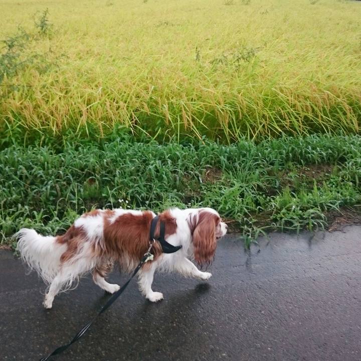 F4ff1156 e5d1 4ec7 84e5 0c696081fc1d 1536096723450