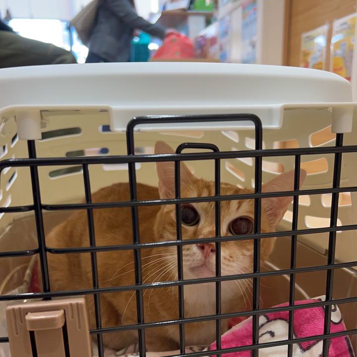 F4ff2250 91f3 4d2d 9332 f3f29ffb0067 1675504941621