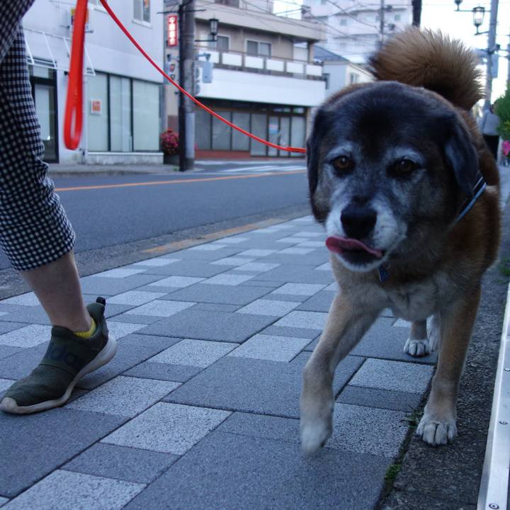 F4ff8f24 2a64 41c9 9480 ae74d135e6ce 1526135911566