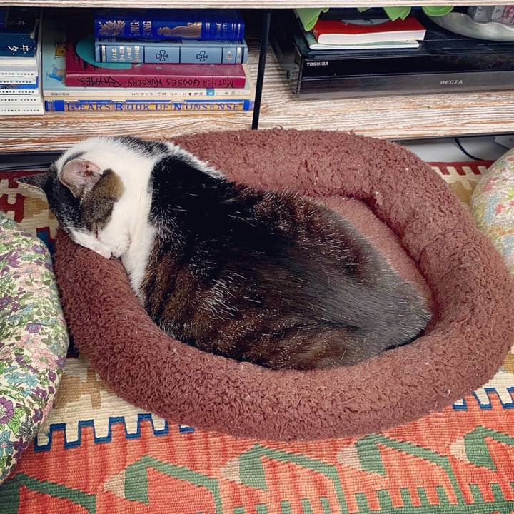 F4fff270 435b 4c15 a257 f4a81e4262b4 1594945869146