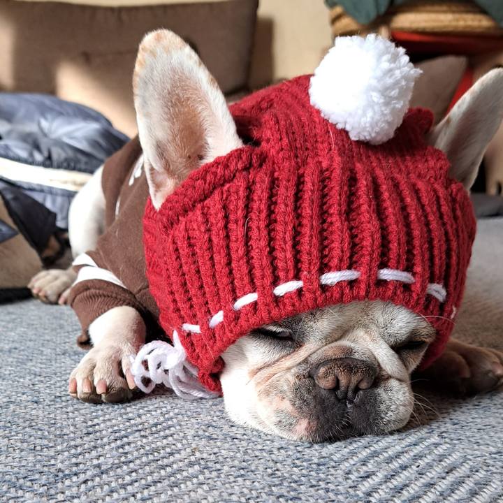 F4fff4a5 0cff 4b16 8bdd bd69f5321385 1704241964201