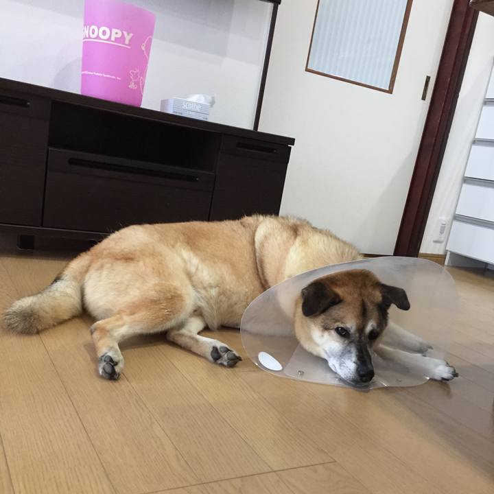 F5002909 c3fb 4488 b757 ba4b72b4aa38 1599276171551