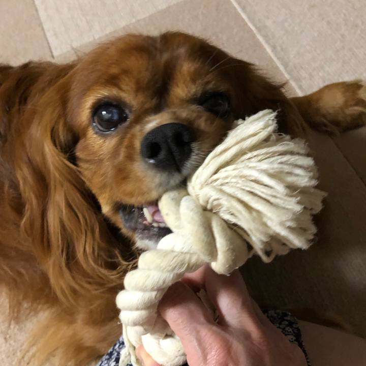 F50034f4 3fab 4e03 8087 9f845fc7986e 1626264929415