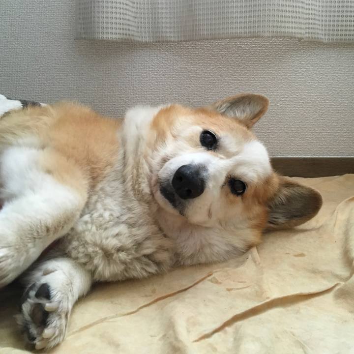 F5005307 3bf0 4044 ae61 2414401a7e1d 1553732575327