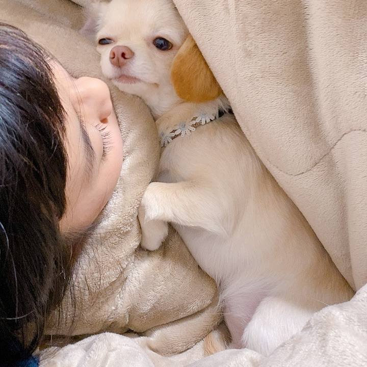 F500570d 755e 4312 b0ca 8494546cc477 1607984806720