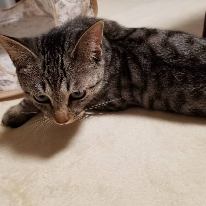 F5006476 71fe 43c4 8379 08a4d5bf14c4 1675519573964