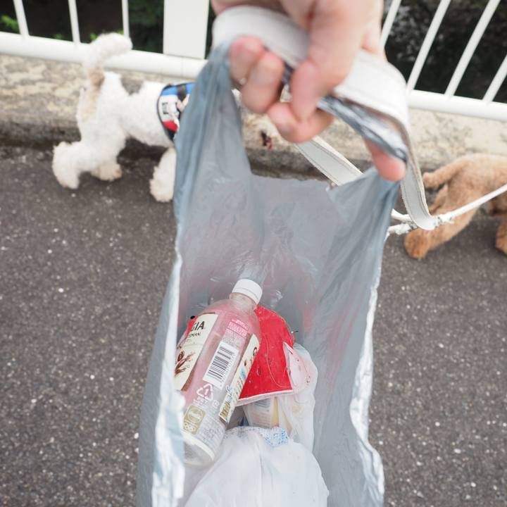 F500c7f7 3419 40ca b406 a916d52b3525 1569648149365