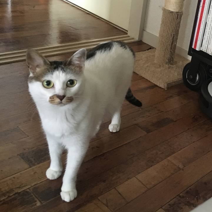 F500e537 4854 4e9c 8a32 3a39e9b96c56 1539581112337