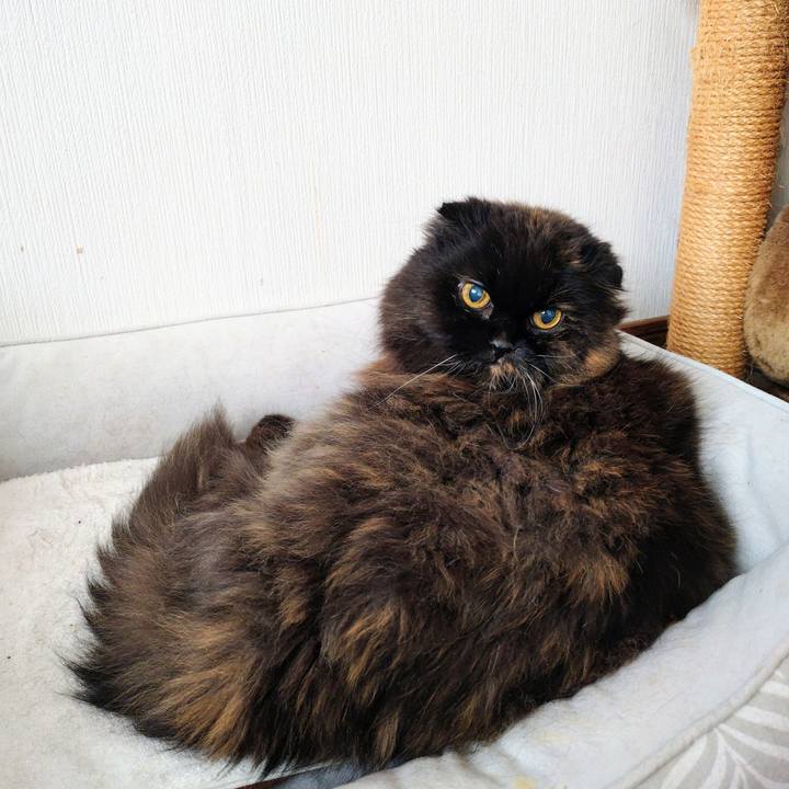 F5010dd5 56ab 403c bc8a 0b1d484e49ef 1773633251951