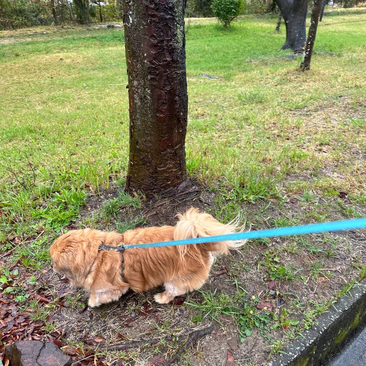 F50114ce c862 4d9a b71c 134cd3f2d8a7 1679785782985