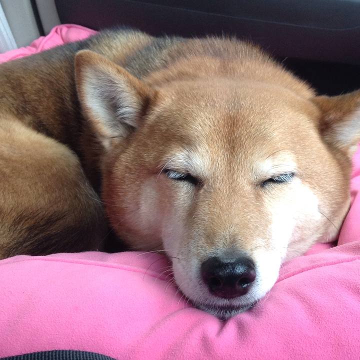 F5013e7e 7700 4ead 8418 eada17725a0d 1516255852162