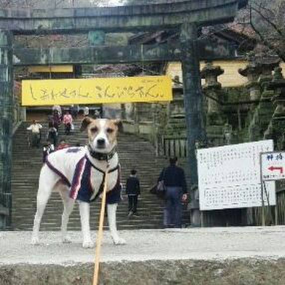 F501508d 2cb5 4481 9a47 f1ca570b7a39 1565607600871