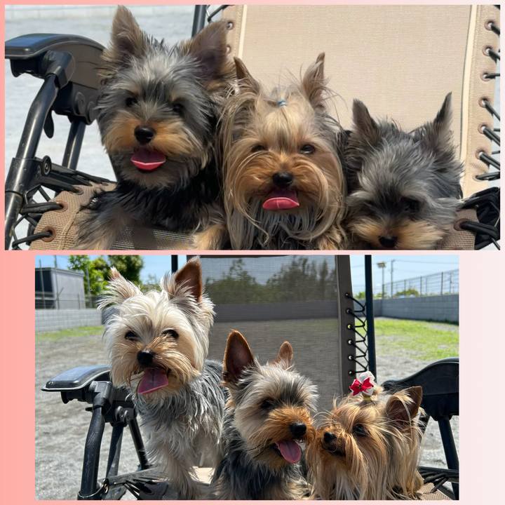 F5015ca9 8fae 4217 b667 2bdb97a4d608 1746936754151