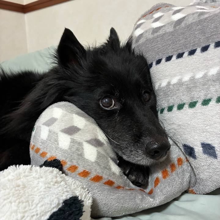 F5015f3a 7367 46dd bfe4 c1ea8d7dbba0 1772546578030