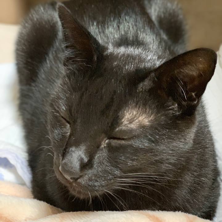 F501b6ea a762 40e4 bf08 e5e899eb36b4 1540690905314